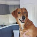 Photo of Amber Dl2304