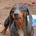 Photo of Cassie