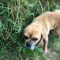 Photo of Hugo