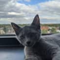 Photo of Boots Meet Me At Best Friends Preston On 7/12/19