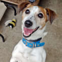 Photo of Jack