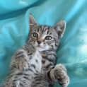 Photo of Monty 