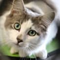 Photo of Evie