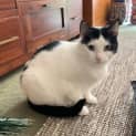 Photo of Gracie