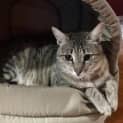 Photo of Milo