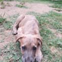 Photo of Kody