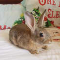 Photo of Peter