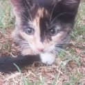 Photo of Matilda 
