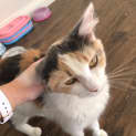 Photo of Mary