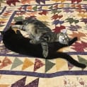Photo of Coco