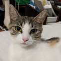 Photo of Dotty Meet Me At Neko Hq In Preston