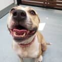 Photo of Narla