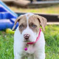 Photo of Charity 
