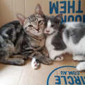 Photo of Oli And Ochre