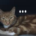 Photo of Marlon Meet Me At Neko Hq In Preston