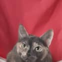 Photo of Eliza