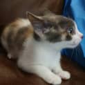 Photo of Fleur