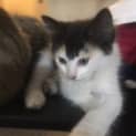 Photo of Lotti