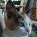 Photo of Thimble Meet Me Sunday @Neko Hq, Preston
