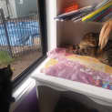 Photo of Ember