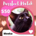 Photo of Meeka