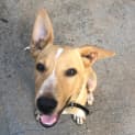 Photo of Olaf