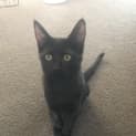Photo of Wednesday 