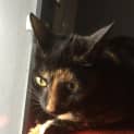Photo of Nayla