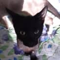 Photo of Monte