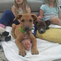 Photo of Duke