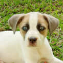 Photo of Beccy