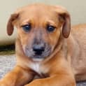 Photo of Remi