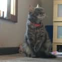 Photo of Bonnie