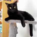 Photo of Miracle 