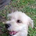 Photo of Coco