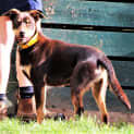 Photo of Ralph