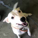 Photo of Ziggy