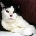 Photo of Louie Rsua001447