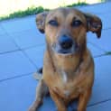 Photo of Hazel