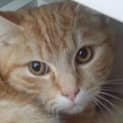 Photo of Oscar