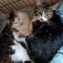 Photo of Arya & Bron