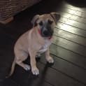 Photo of Darla
