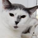 Photo of Micah 