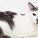 Photo of Micah 