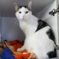Photo of Gus Rsta003441