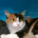 Photo of Mindy