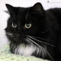 Photo of Lola Sua005385