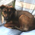 Photo of Missy