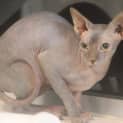 Photo of Lilith