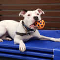 Photo of Kyla